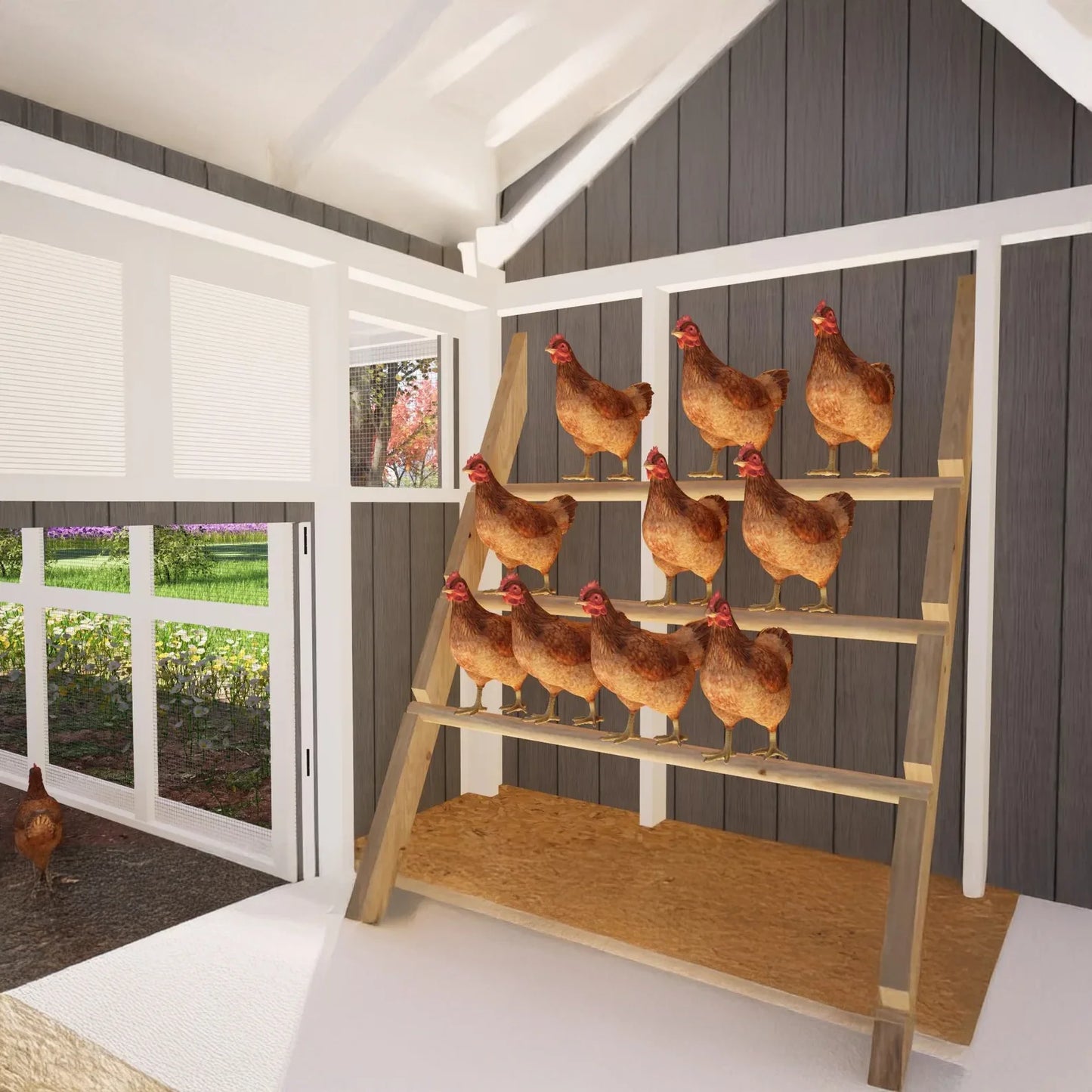Hign-concerned Chicken Coop Plans For 24 Chickens Booklet
