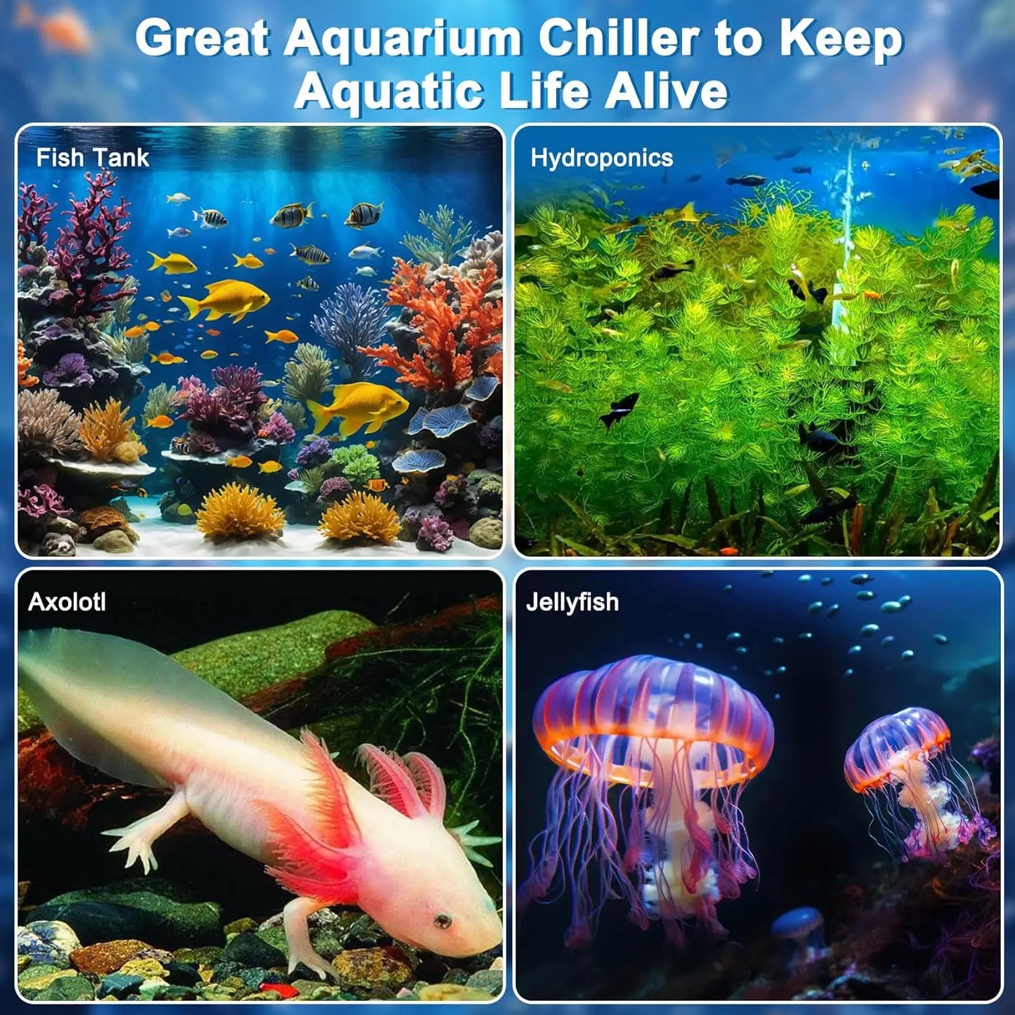 Aquarium Chiller For Fish Tank Hydroponic Water Cooler
