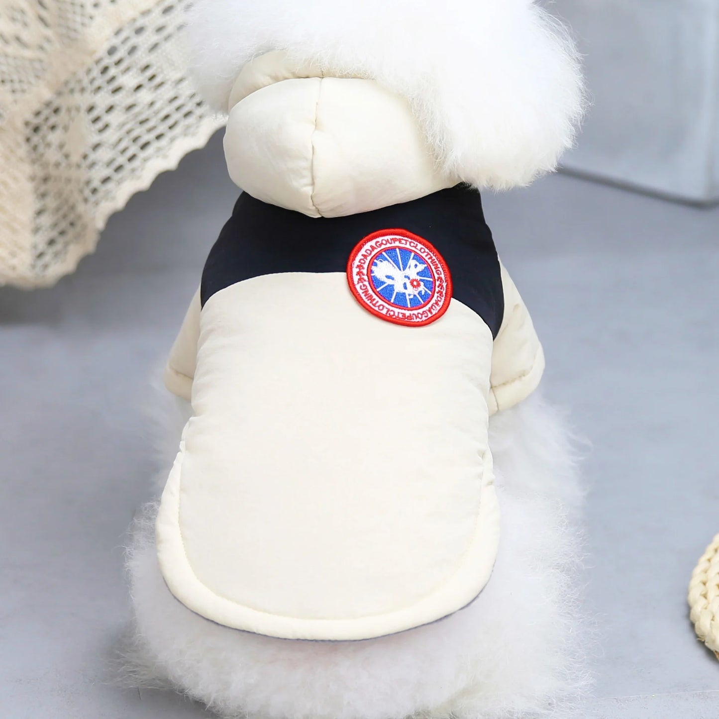 Brother Cat Dog Winter Hooded Coat For Small Dogs Apparel