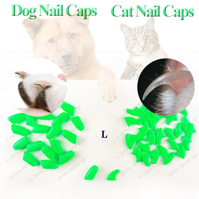 100pcs / lot Cat Nail CapsSoft Nail Protector soft cat pawControl Pets Silicon Nail caps  with free 5Adhesive Glue + 5Applicator