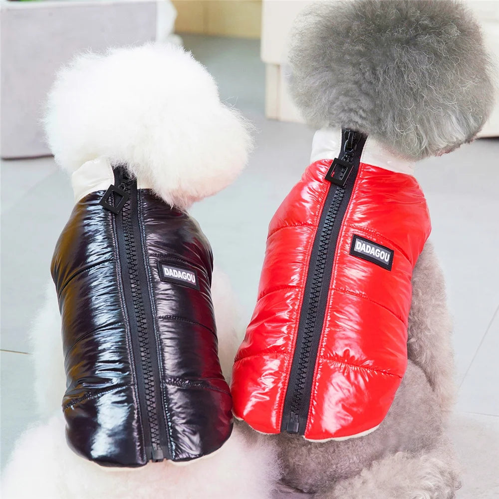 Brother Cat Dog Winter Hooded Coat For Small Dogs Apparel