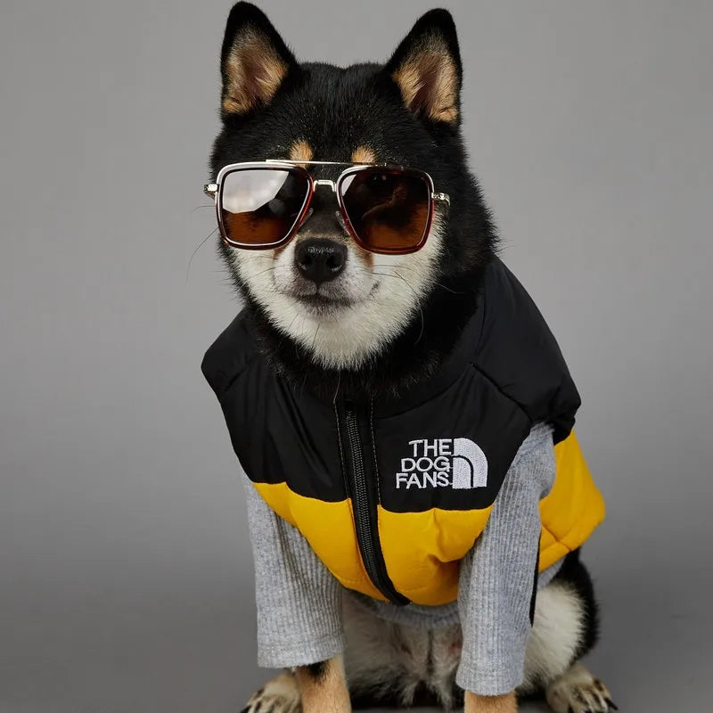 CN Zhejiang Dog Face Toys Cute Accessories for Pets Gear