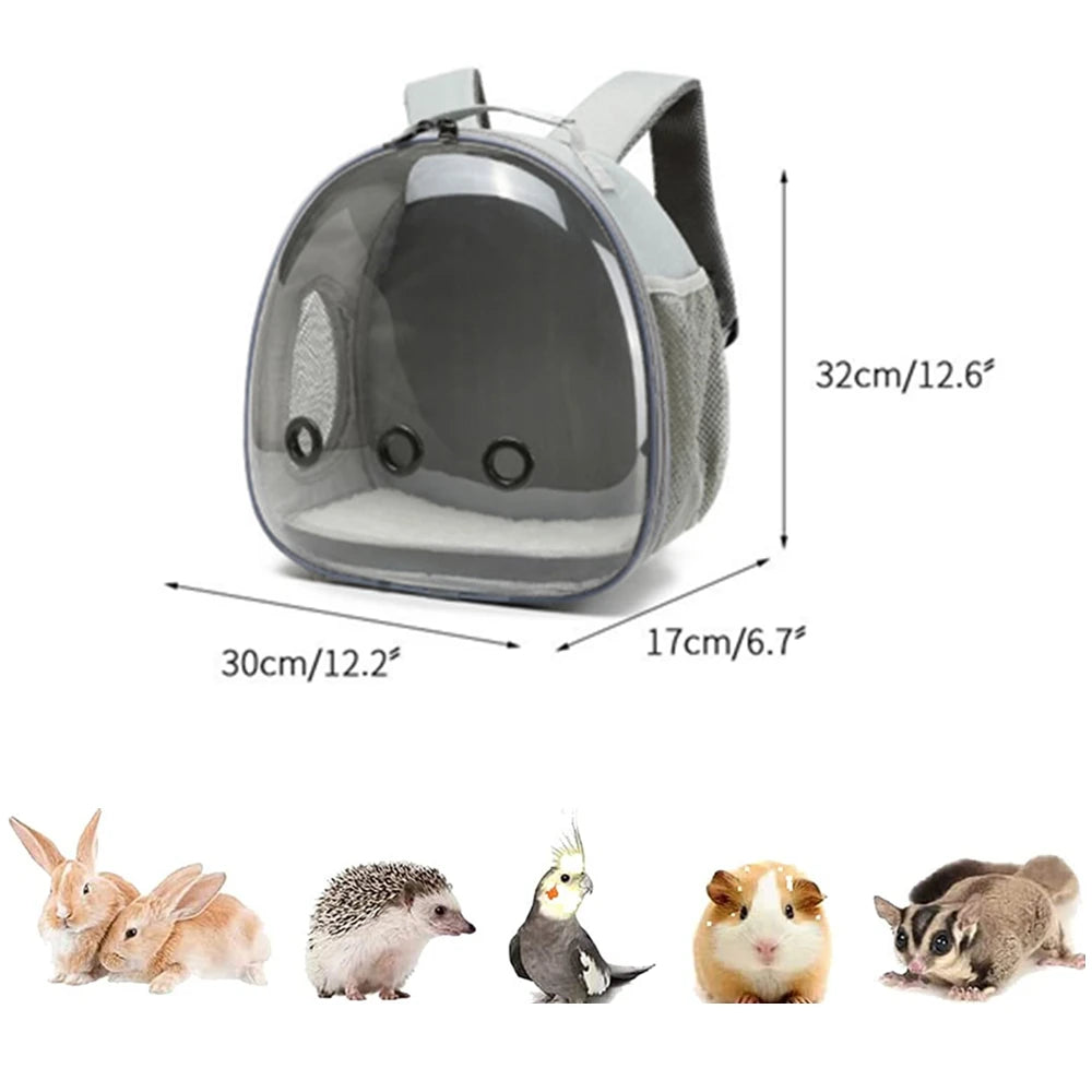 CN Fujian Bird Backpack Carrier For Parrots Acrylic Bubble