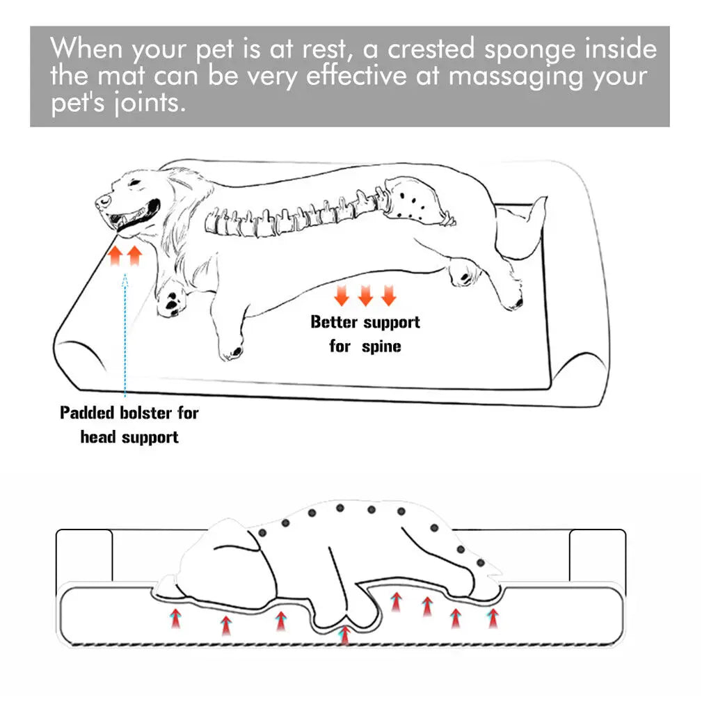 BINGOPAWCN Orthopedic Dog Bed With Removable Cover
