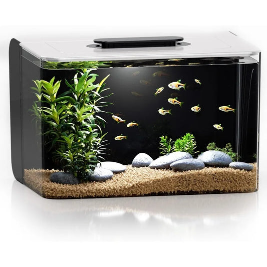 Fish Tank, 2.5 Gallon Aquarium Kit with Filter, Light, Self Cleaning, Oxygenation, Small All in One Starter Fish Tank for