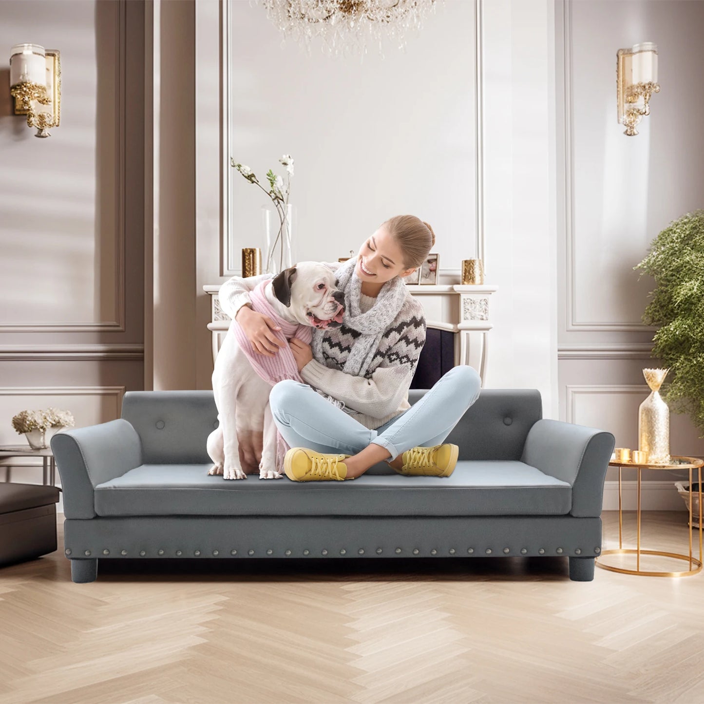 Bingopaw Elevated Rectangle Pet Bed for Dogs Modern Sofa