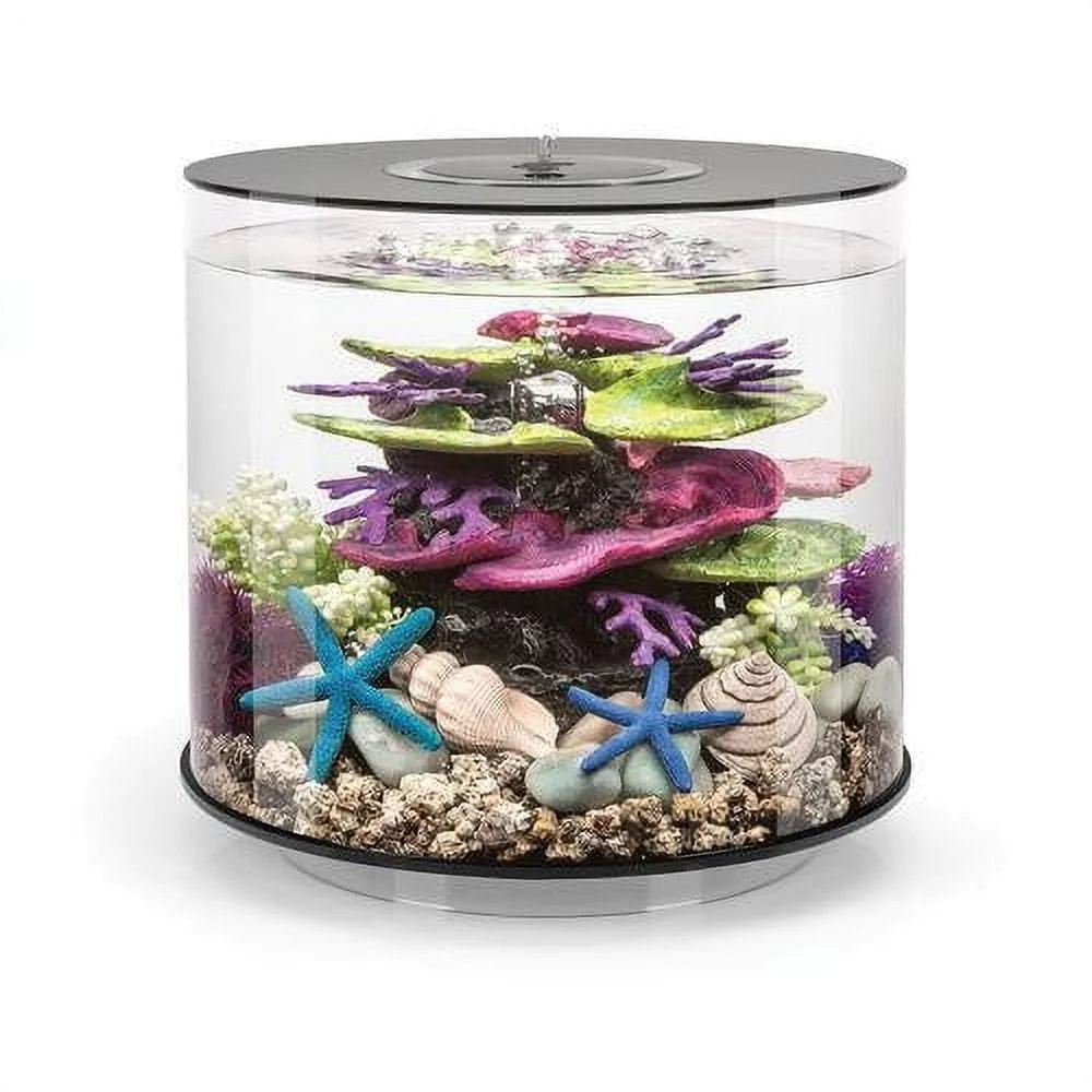 Acrylic Fish Tank 4 Gallon with LED Light Quiet Pump 5-Step Filtration Easy Setup Includes Filter Cartridge Ceramic Media