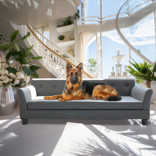Bingopawcn Elevated Rectangle Dog Bed Durable Sofa for Dogs