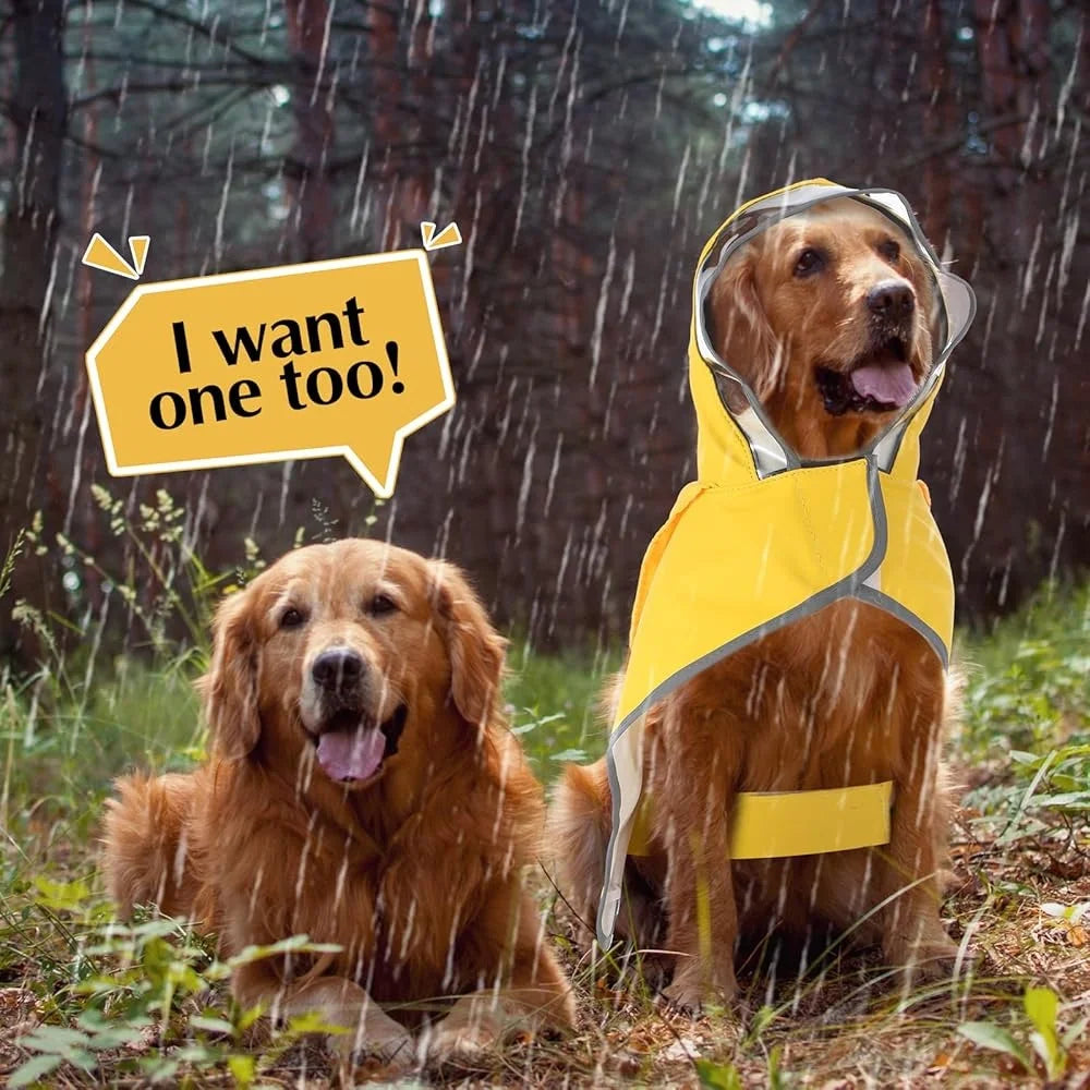 High Concerned Dog Raincoat Waterproof Transparent Hood