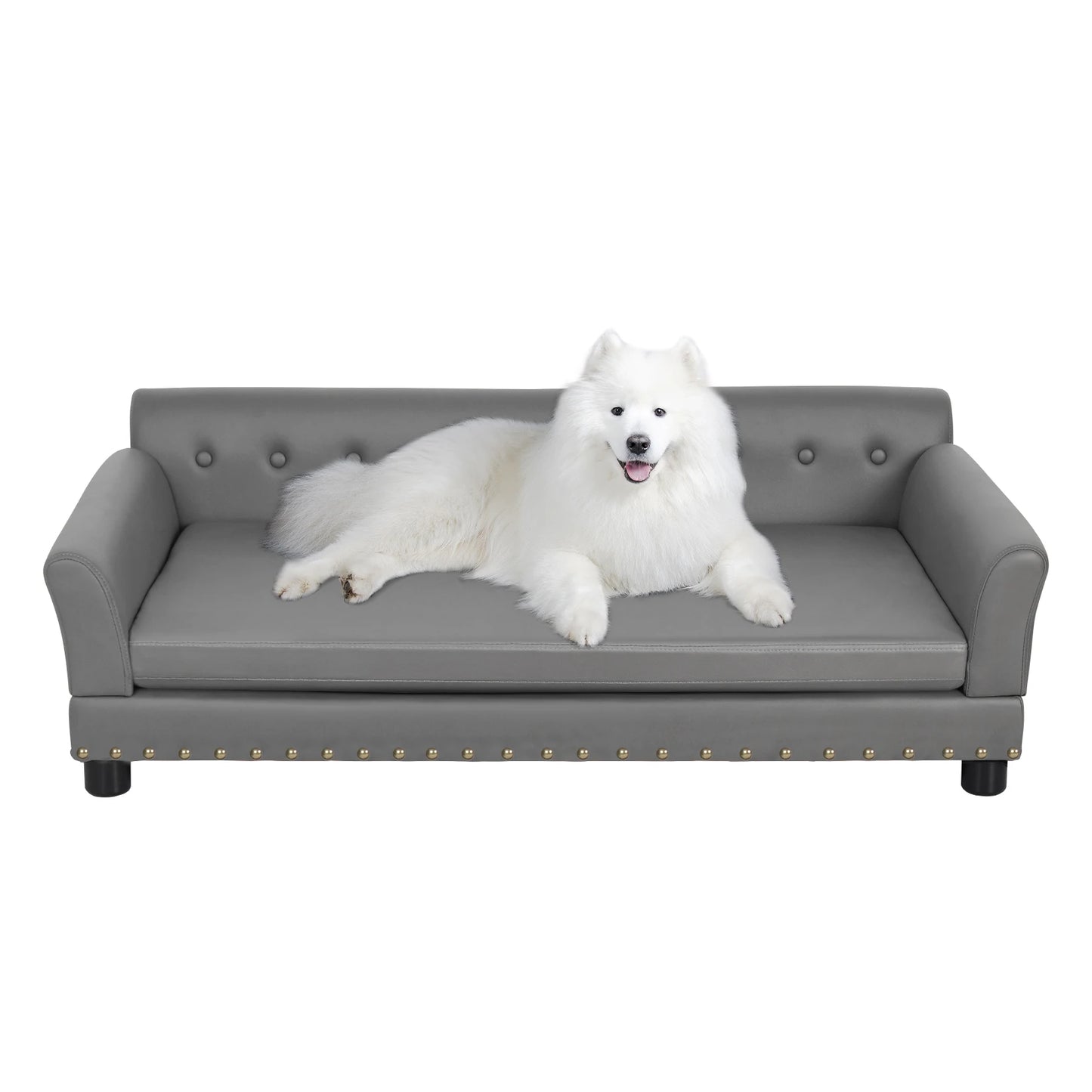 Bingopawcn Elevated Rectangle Dog Bed Durable Sofa for Dogs