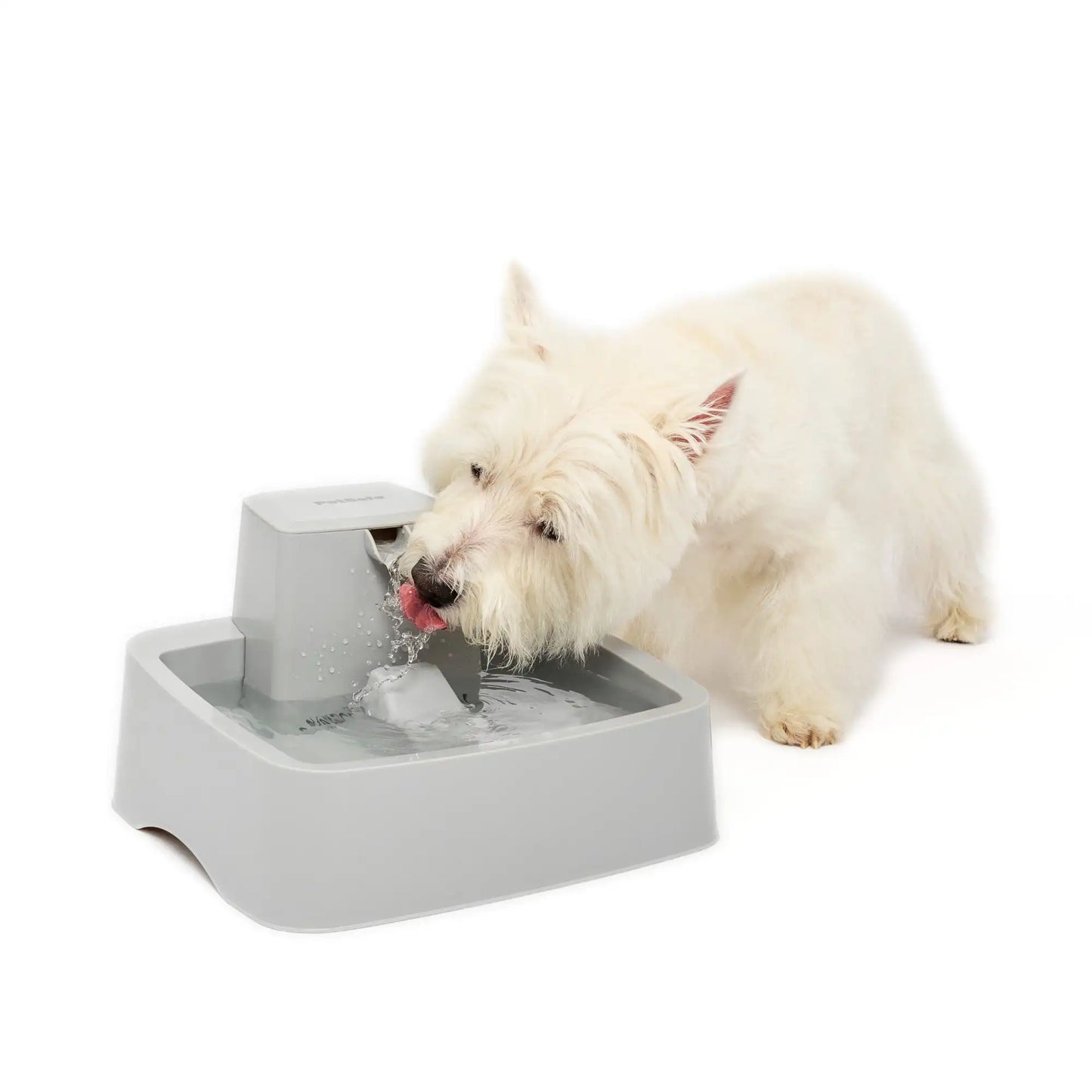 PetSafe Drinkwell Pet Fountain For Cats And Dogs Automatic