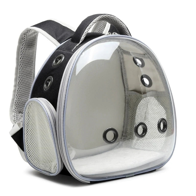 CN Fujian Bird Backpack Carrier For Parrots Acrylic Bubble