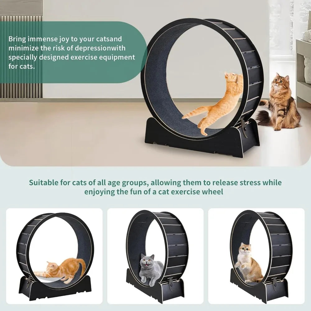 Breed Cat Exercise Wheel Indoor Treadmill Toy For Fitness