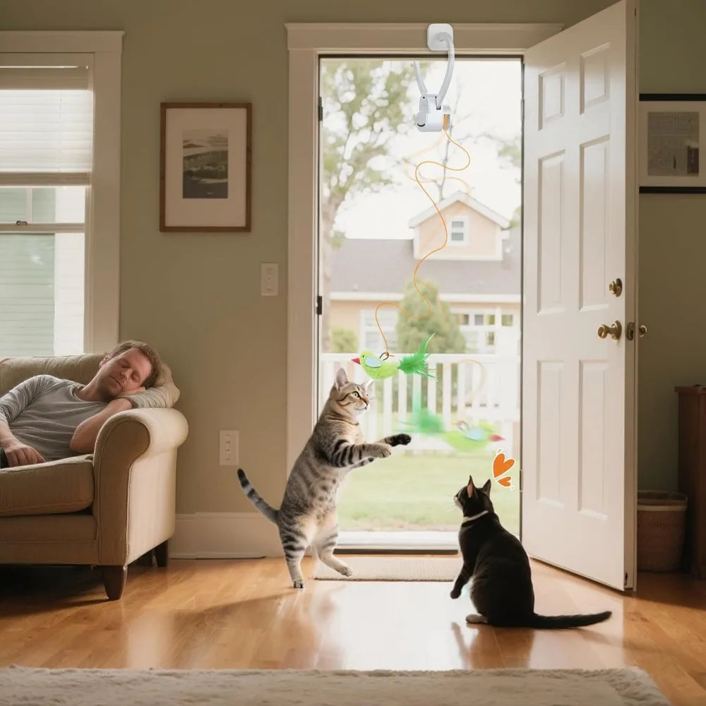 Hign Concerned Interactive Cat Toy Automatic Feather Wand