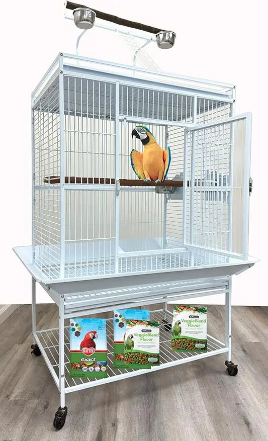 Wrought Iron Parrot Cage Rolling Bird Enclosure Durable