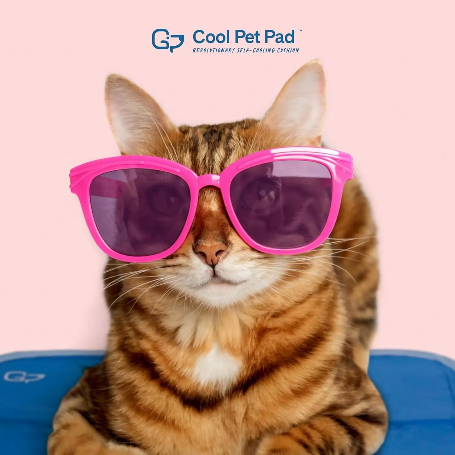 Premium Self Cooling Gel Pad Mat For Dogs And Cats