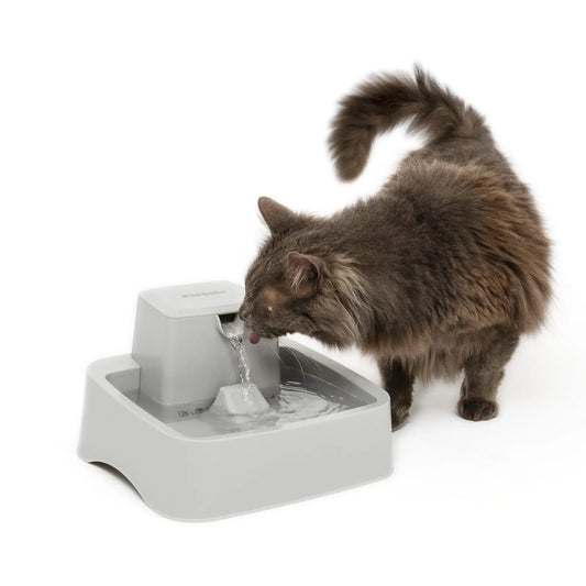 PetSafe Drinkwell Pet Fountain For Small Dogs And Cats