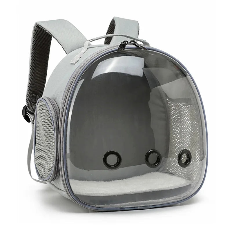 CN Fujian Bird Backpack Carrier For Parrots Acrylic Bubble