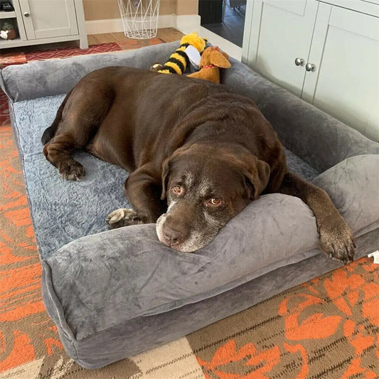 BINGOPAWCN Orthopedic Dog Bed With Removable Cover