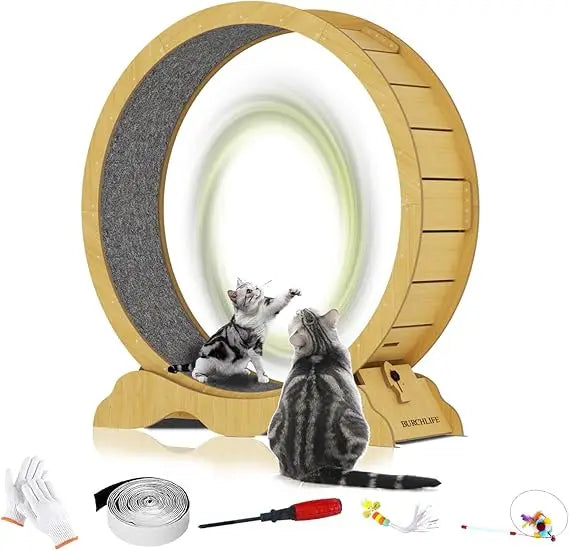 Breed Cat Exercise Wheel Premium Treadmill For Indoor Cats
