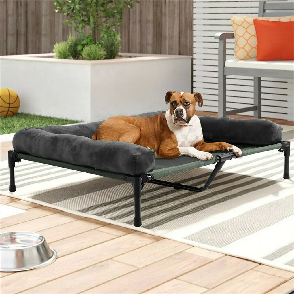 BINGOPAWCN Elevated Indoor Outdoor Pet Lounger Bed Deluxe