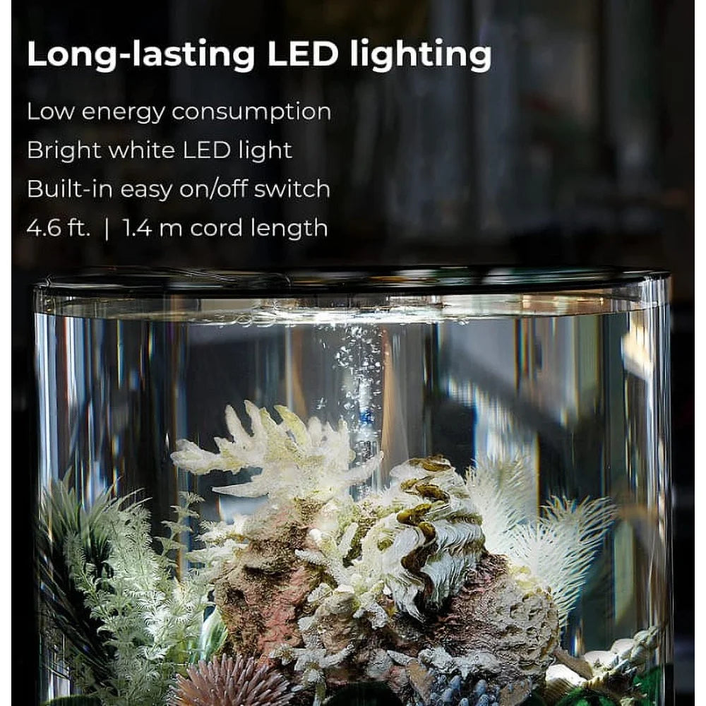 Acrylic Fish Tank 4 Gallon with LED Light Quiet Pump 5-Step Filtration Easy Setup Includes Filter Cartridge Ceramic Media