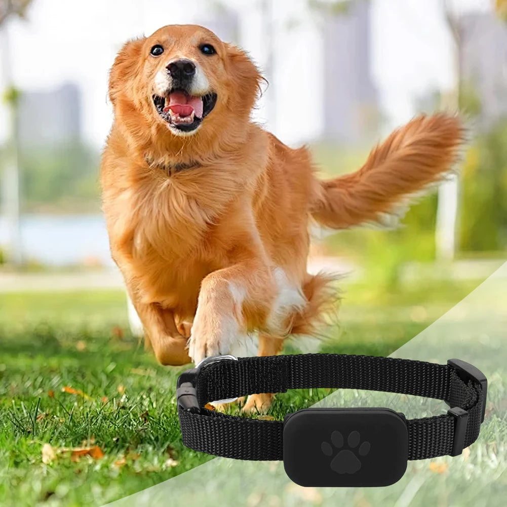 Hign-Concerned Dog Tracker With Adjustable Pet Locator
