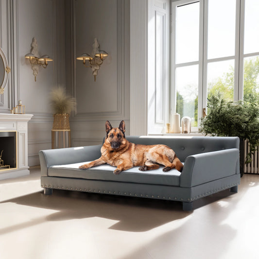 Bingopaw Elevated Rectangle Pet Bed for Dogs Modern Sofa