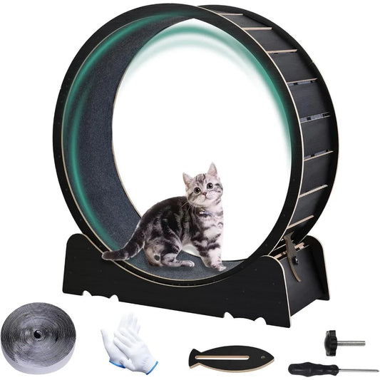 Breed Cat Exercise Wheel Indoor Treadmill Toy For Fitness