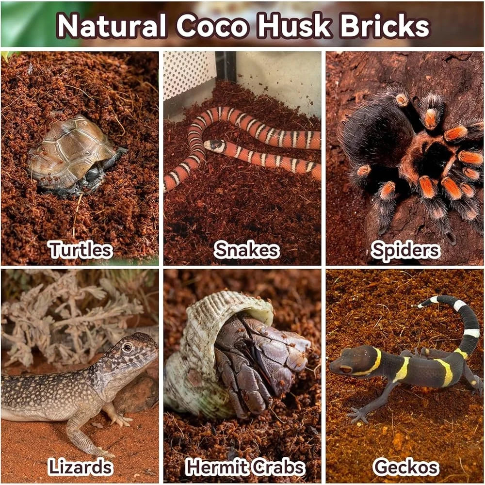 Hign Concerned Coconut Fiber Substrate Reptile Bedding