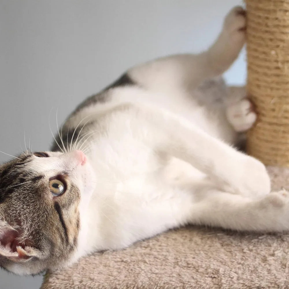 Breed Cat Tree Three Tier Tower Napping and Scratch Post