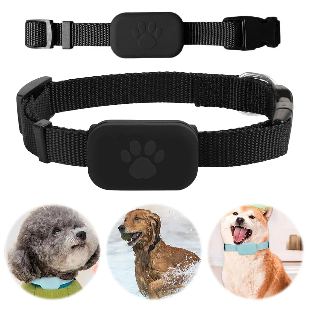 Hign-Concerned Dog Tracker With Adjustable Pet Locator
