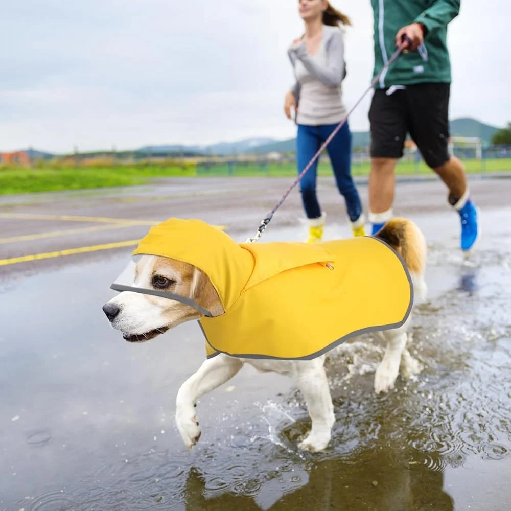 High Concerned Dog Raincoat Waterproof Transparent Hood