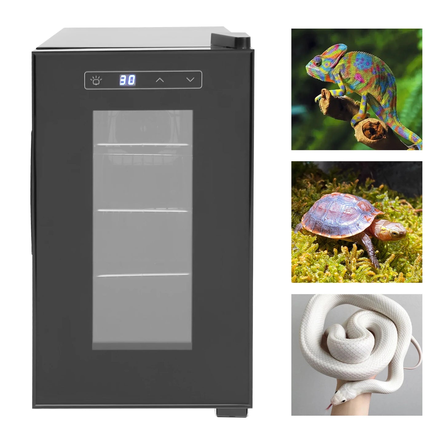 Critter Craze25 Reptile Egg Incubator 50 To 104F Thermostat