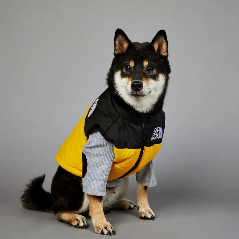 CN Zhejiang Dog Face Toys Cute Accessories for Pets Gear