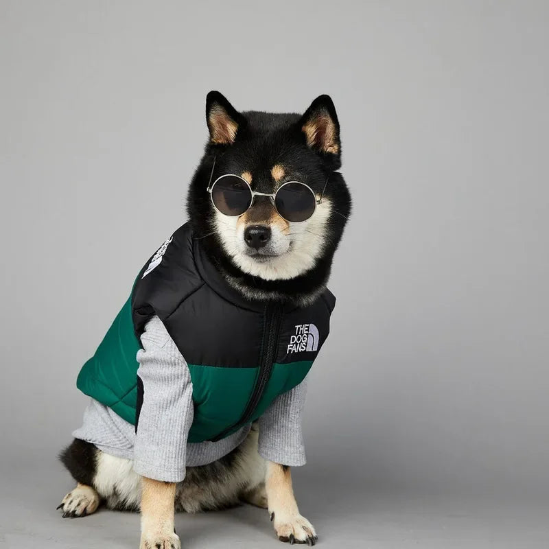 CN Zhejiang Dog Face Toys Cute Accessories for Pets Gear