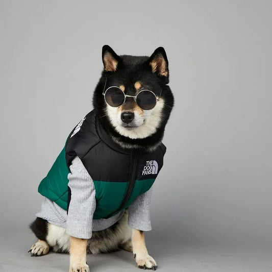 CN Zhejiang Dog Face Toys Cute Accessories for Pets Gear