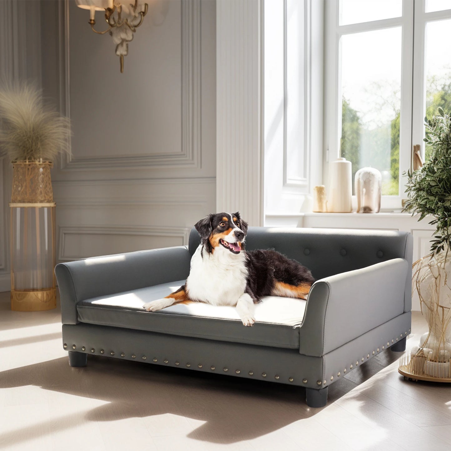 Bingopawcn Elevated Rectangle Dog Bed Durable Sofa for Dogs