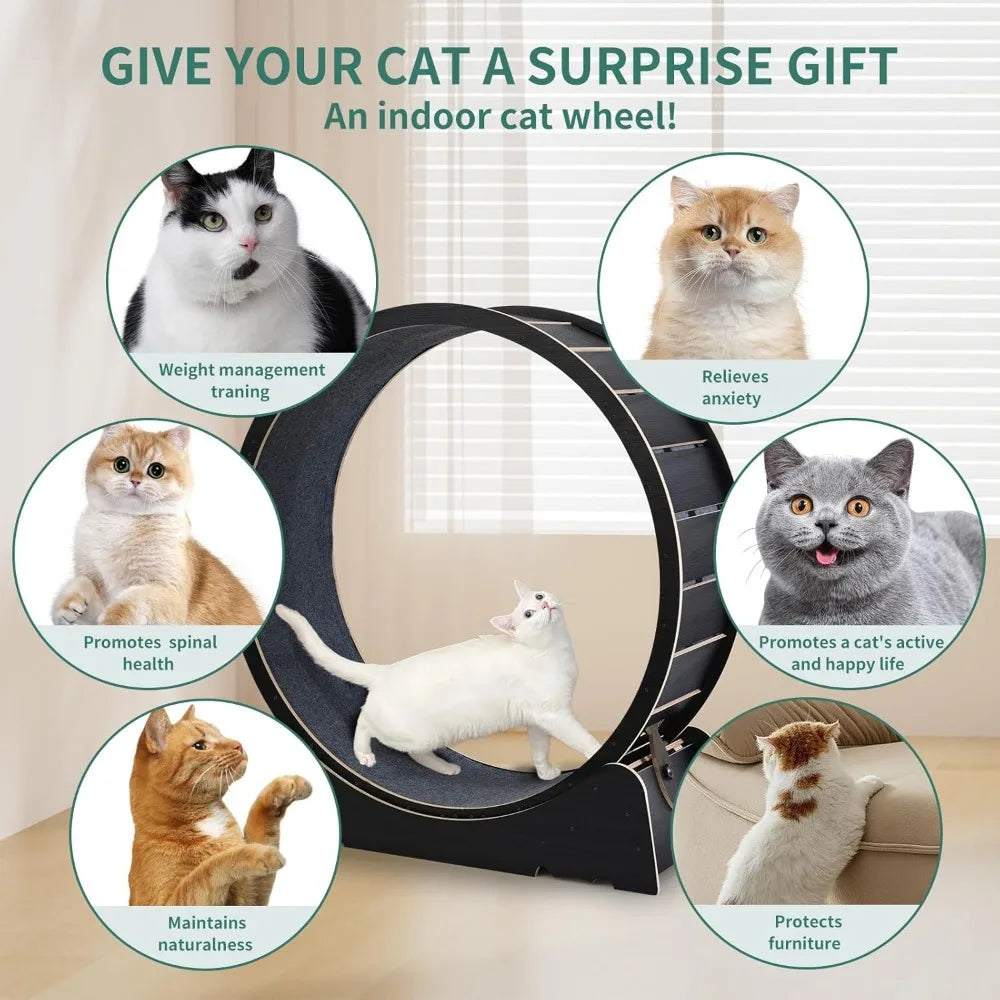 Breed Cat Exercise Wheel Indoor Treadmill Toy For Fitness
