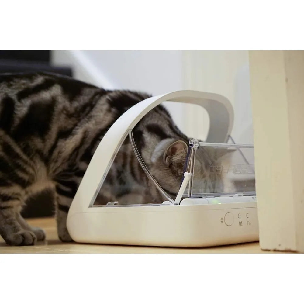 Hign Concerned Pet Feeder Selective Automatic Meal Times