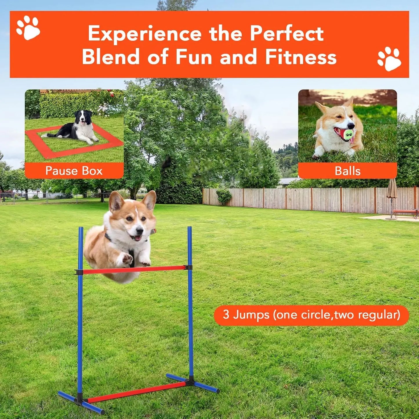 HiMISSH 87 Piece Dog Agility Training Set Obstacle Course
