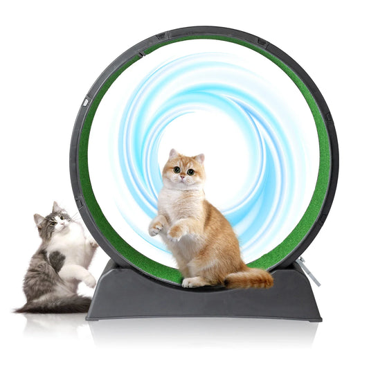 Indoor Cat Exercise Wheel Treadmill With Carpeted Runway