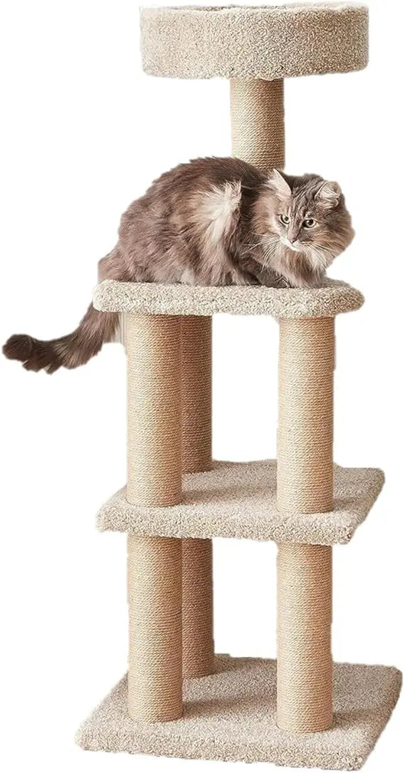 Amazon Basics Cat Tree Indoor Multi Level Climbing Tower