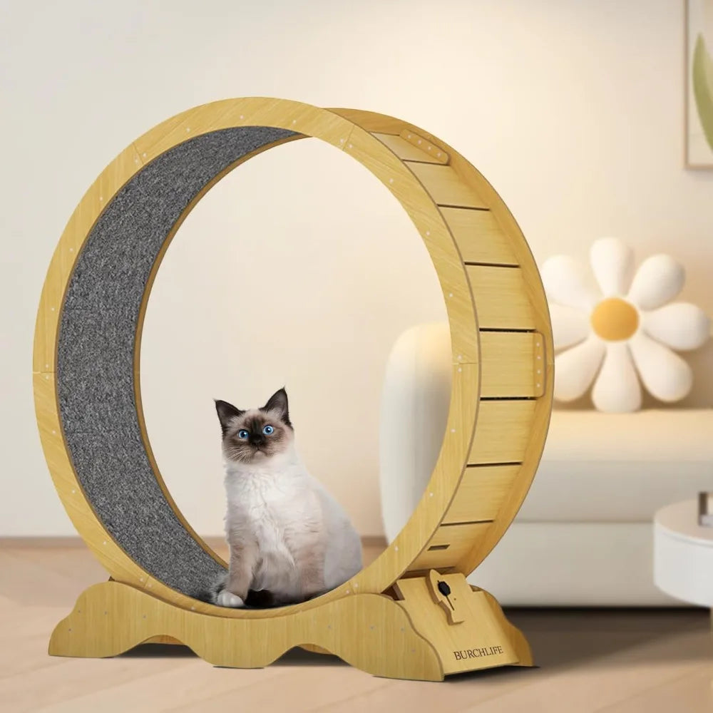 Breed Cat Exercise Wheel Premium Treadmill For Indoor Cats