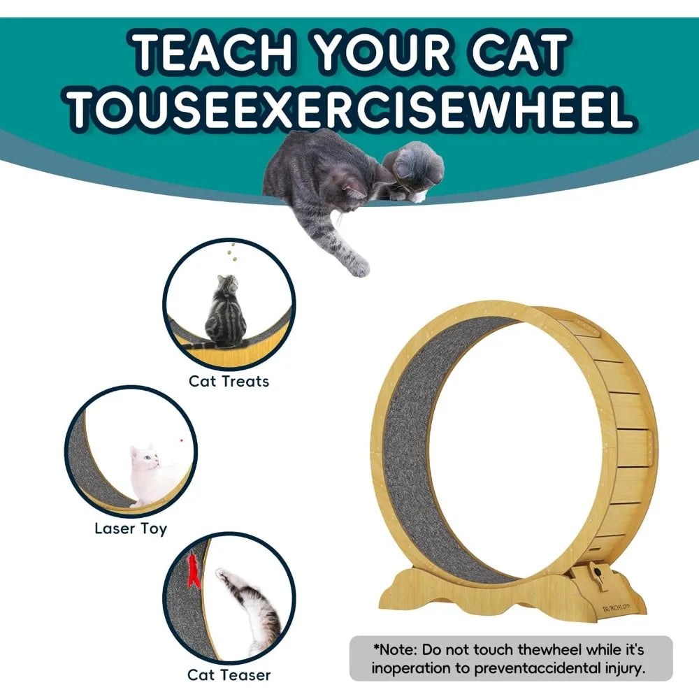 Breed Cat Exercise Wheel Premium Treadmill For Indoor Cats