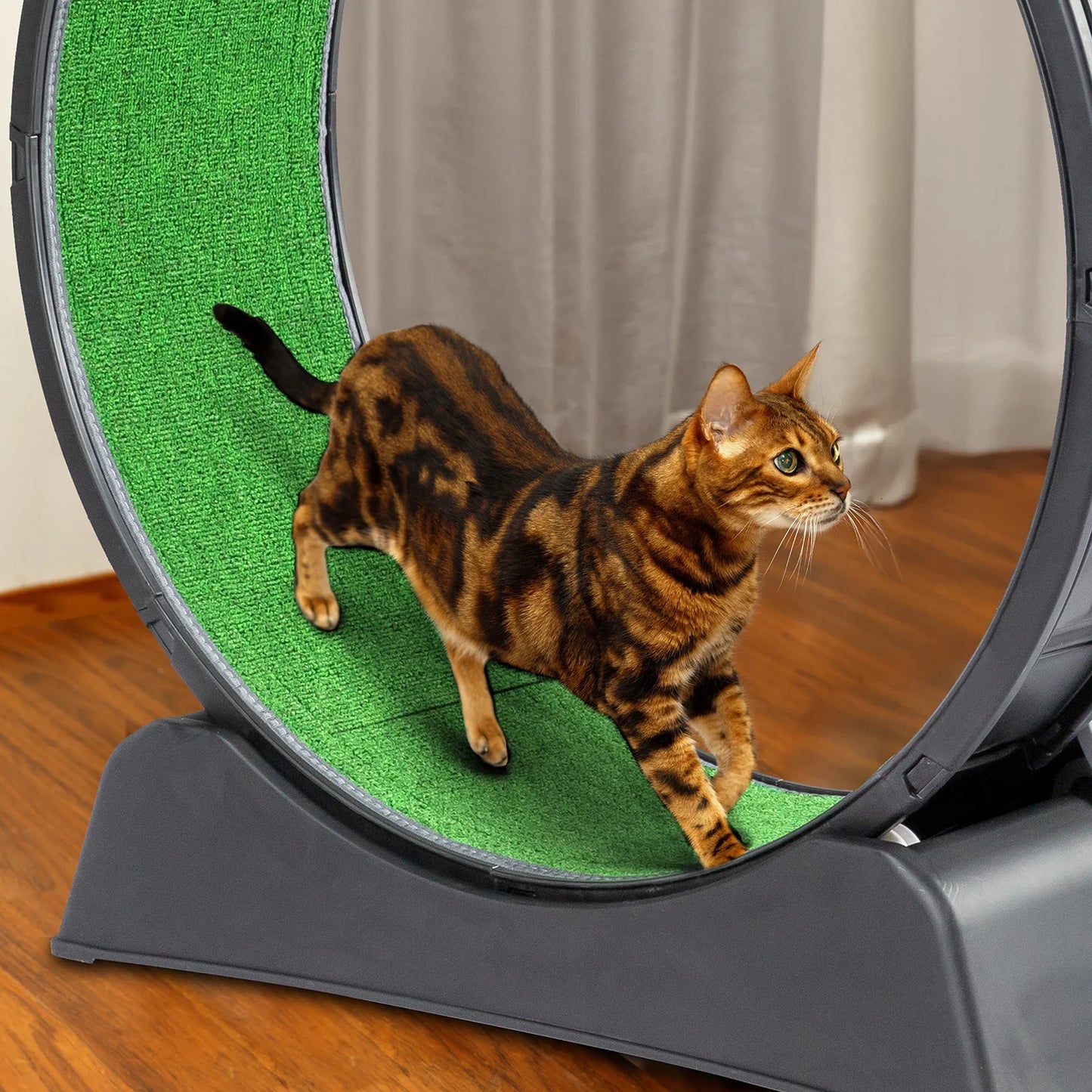 Indoor Cat Exercise Wheel Treadmill With Carpeted Runway