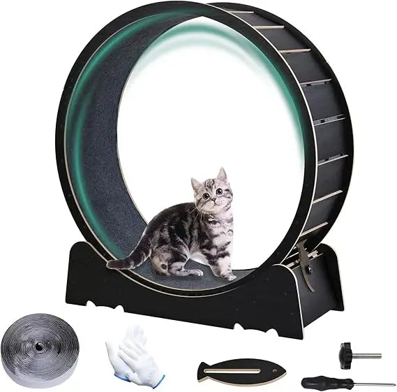 Breed Cat Exercise Wheel Indoor Treadmill Toy For Fitness