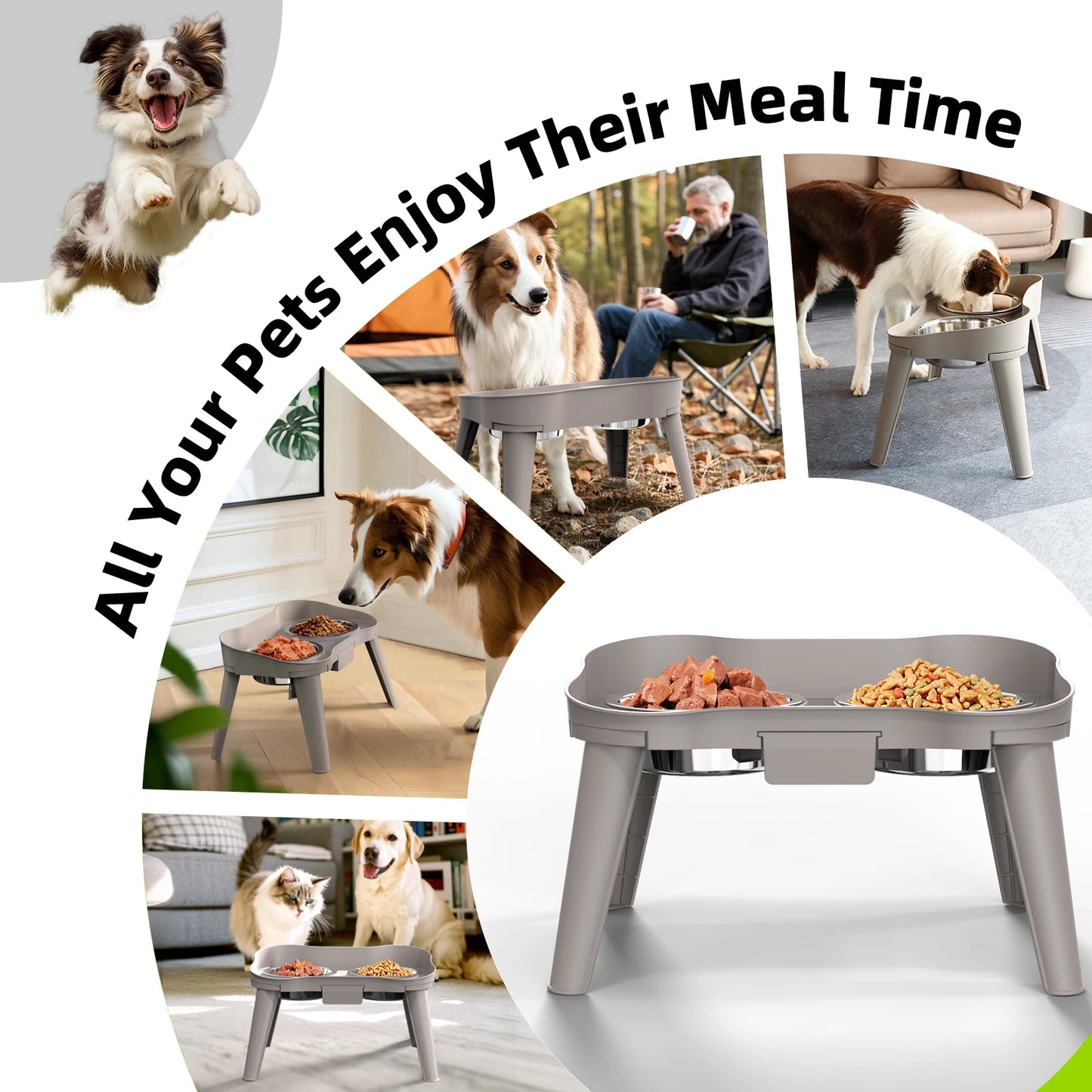 Superdesign Rimmed Table Pet Bowl Stainless Steel Elevated Neck Protection