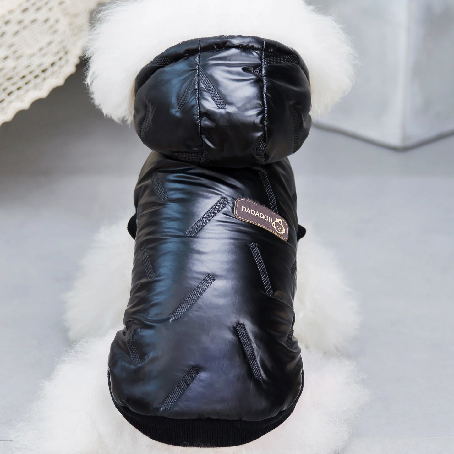 Brother Cat Dog Winter Hooded Coat For Small Dogs Apparel