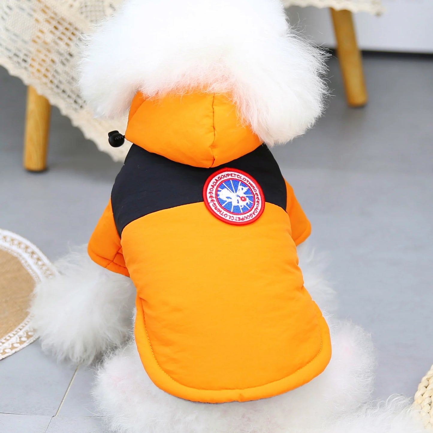 Brother Cat Dog Winter Hooded Coat For Small Dogs Apparel